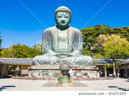 Kamakura Great Buddhist Chantokuin 83855489