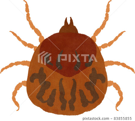 Tick illustration 83855855