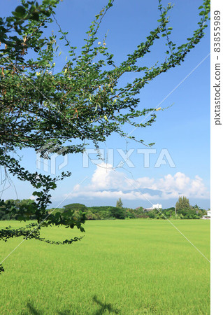 sky ,cloud and tree or field and mountain 83855989