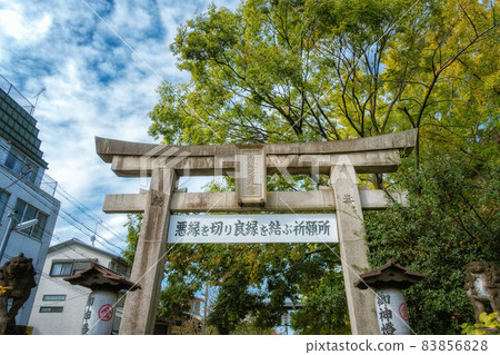 Torii and blue sky at Yasui Konpiragu, Kyoto 83856828