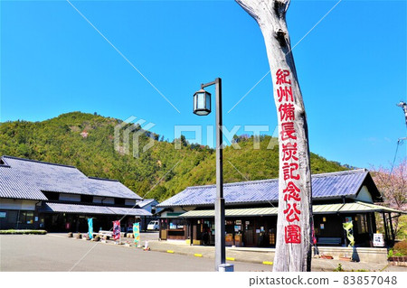 Road Station Kishu Bicho Charcoal Memorial Park Spring Scenery 83857048