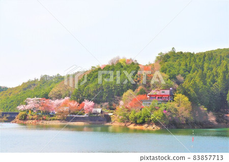 椿湖春景 83857713