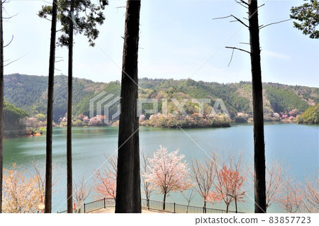 Tsuburo Lake Spring scenery 83857723