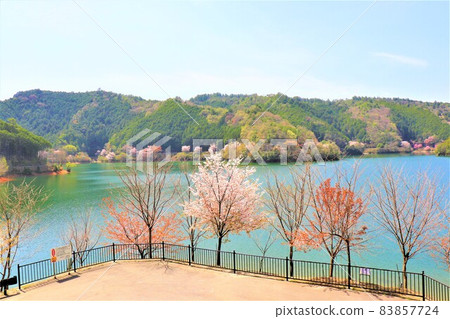 Tsuburo Lake Spring scenery 83857724