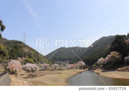 Tsuburo Lake Spring scenery 83857739