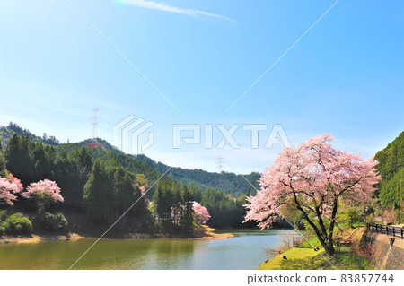 椿湖春景 83857744