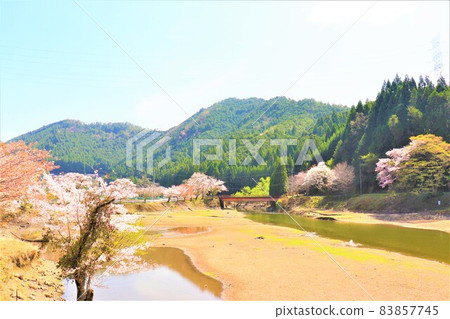 Tsuburo Lake Spring scenery 83857745