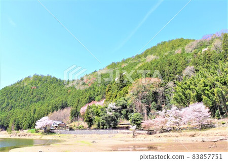 Tsuburo Lake Spring scenery 83857751