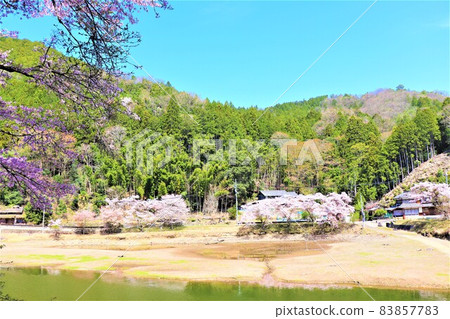 椿湖春景 83857783