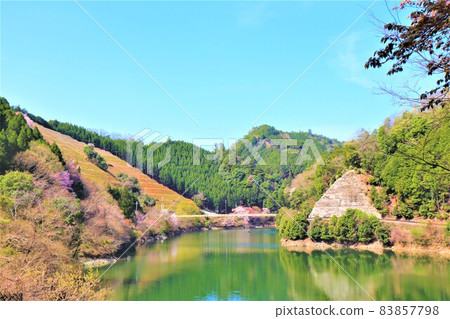 椿湖春景 83857798