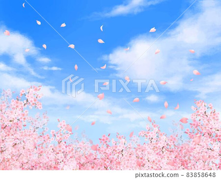 美麗絢麗的櫻花花瓣在春天的清新藍天中飄揚 雲框背景矢量素材插畫 83858648