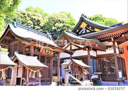 大阪Sa山市/ Sa山神社 大阪Sa山市/ Sa山神社 83859257