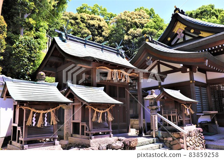 大阪Sa山市/ Sa山神社 83859258