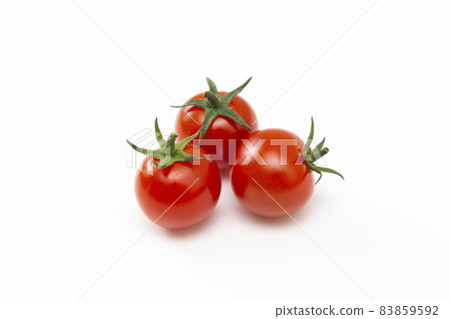 Mini Tomato White Back 83859592