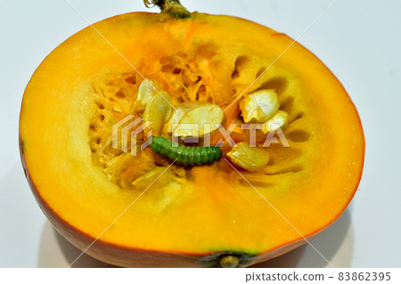 A pumpkin and a green caterpillar crawling on it. 83862395