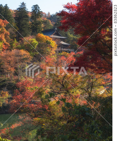 福島縣柳津町瑞光寺橋的秋葉與只見川的倒影 福島縣柳津町瑞光寺橋的秋葉與只見川的倒影 83862823