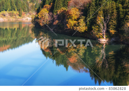Autumn leaves and reflection of the Tadami River taken from Zuikoji Bridge, Yanaizu Town, Fukushima Prefecture 83862828