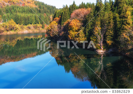 Autumn leaves and reflection of the Tadami River taken from Zuikoji Bridge, Yanaizu Town, Fukushima Prefecture Autumn leaves and reflection of the Tadami River taken from Zuikoji Bridge, Yanaizu Town, Fukushima Prefecture 83862829