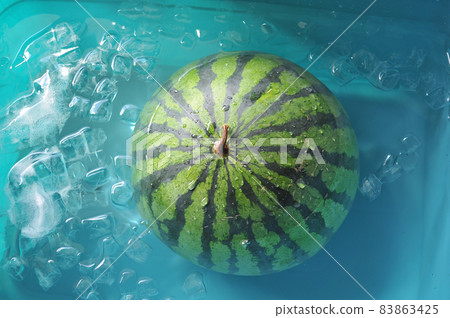 寒冬中的西瓜 02 寒冬中的西瓜 02 83863425
