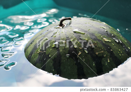 Watermelon in chill 17 Watermelon in chill 17 83863427