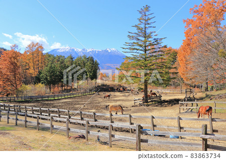 秋天的海田高原,木曾馬之裡 秋天的海田高原,木曾馬之裡 83863734