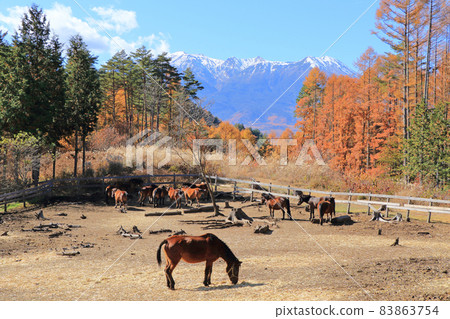 Kaida Kogen in Autumn, Kisouma no Sato 83863754