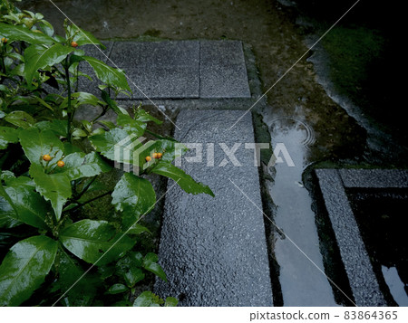 Walk through the gardens of Kyoto in winter Walk through the gardens of Kyoto in winter 83864365