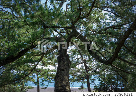 Hagoromo no Matsubara, Miho no Matsubara Hagoromo no Matsubara, Miho no Matsubara 83866181