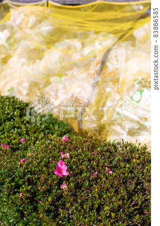 垃圾 可燃垃圾 垃圾 可燃垃圾 83866585