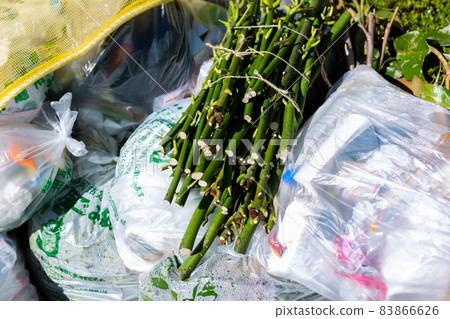 Combustible Garbage Day Combustible Garbage Day 83866626