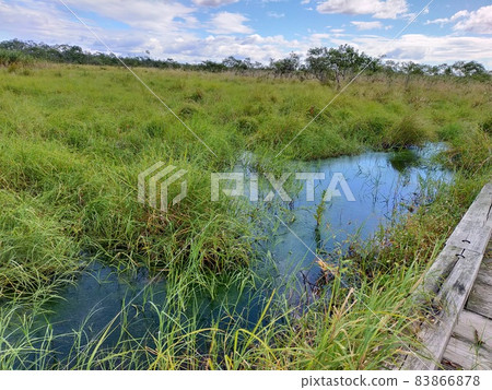 [World Heritage] Kushiro Wetland, Hokkaido 83866878