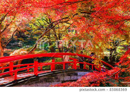 Ikaho Onsen, Kawakabashi and Autumn Leaves [Gunma Prefecture] 83868369