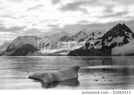 Many penguins on big iceberg in Antarctica 83869413