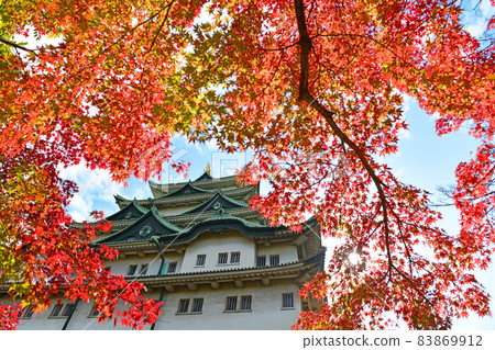Nagoya castle in autumn 83869912