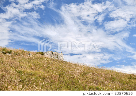 Raw stone plateau of Japanese pampas grass (fire rock) [Aridagawa Town, Wakayama Prefecture, Kimino Town] 83870636