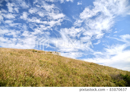 Raw stone plateau of Japanese pampas grass (fire rock) [Aridagawa Town, Wakayama Prefecture, Kimino Town] 83870637