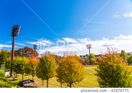 Autumn Municipal Stadium Hachioji, Tokyo Autumn Municipal Stadium Hachioji, Tokyo 83870775