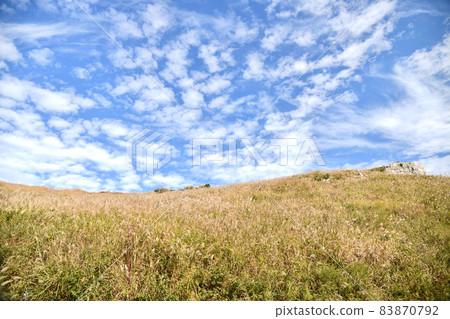 原石高原上的芒草[和歌山縣有田川町公野町] 83870792
