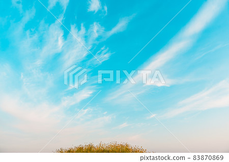 藍天白雲 藍天白雲 83870869