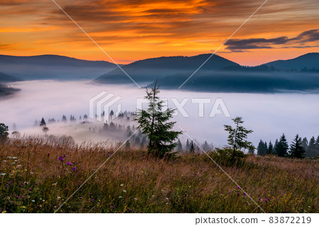 Misty dawn in the mountains. Beautiful Autumn Landscape Misty dawn in the mountains. Beautiful Autumn Landscape 83872219