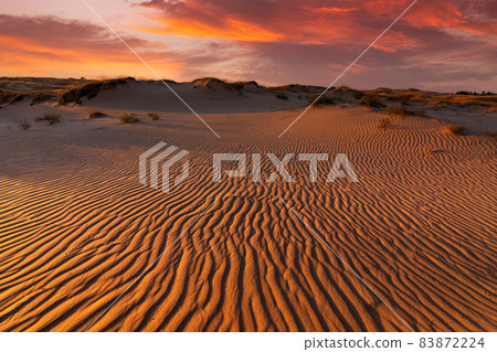 Sunset over the sand dunes in the desert. Arid landscape of the Sahara desert. 83872224
