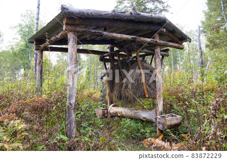 Hay feeder for wild animals - elk, deer, roe deer in the forest 83872229