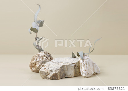 Nature scene with composition of stones and dry eucalyptus leaves Nature scene with composition of stones and dry eucalyptus leaves 83872821