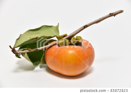 Persimmon with branches and leaves 83872823