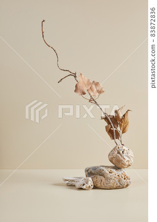 nature scene with composition of stones and dry branch 83872836