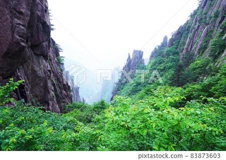 中國黃山 中國黃山 83873603