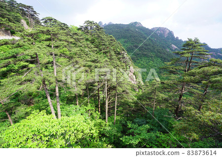 中國黃山 83873614