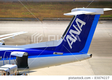 大阪國際機場 ANA 翼 83874227