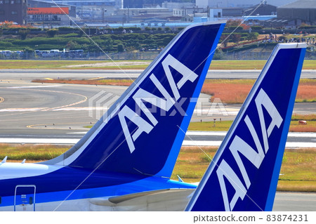 Osaka International Airport ANA Tsubasa 83874231