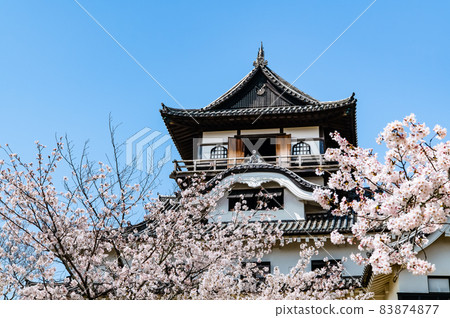 愛知縣犬山市犬山城櫻花和天守閣 愛知縣犬山市犬山城櫻花和天守閣 83874877